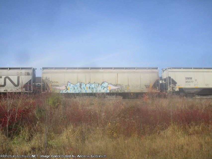 BCOL 829016